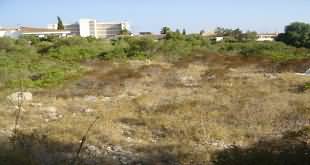 Mallorca Property Management Calas De Mallorca