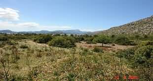 Mallorca Property Management Port Of Pollensa