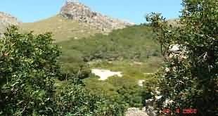 Mallorca Property Management Port Of Pollensa